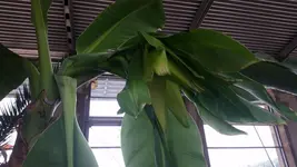20150810_143428.webp
