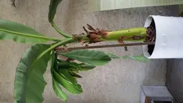 20150902_110144.webp