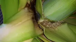 20150902_110235.webp