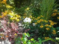 DSCN9802.webp