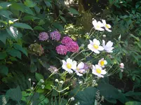 DSCN9821.webp