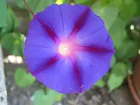 008.webp