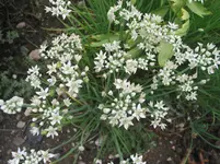 016.webp