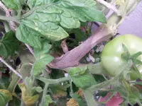 2015-09-02 17.04.19.webp