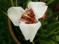 P9010245.webp