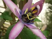 P9020247.webp