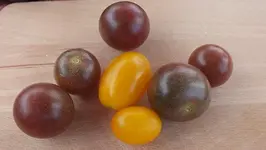 DSCF1170.webp