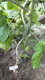 DSCF1223.webp