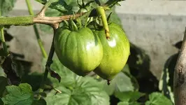 DSCF1224.JPG