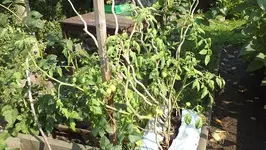 DSCF1226.webp