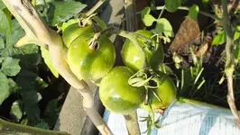 DSCF1227.webp