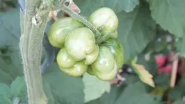 DSCF1261.webp
