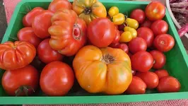 DSCF2380.webp