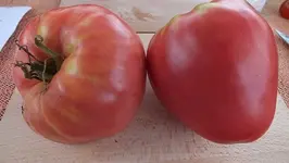 DSCF2383.webp
