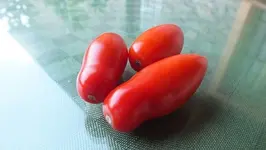 DSCF1930.webp
