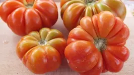 DSCF2386.webp