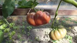 DSCF2410.webp