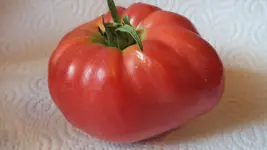 DSCF2464.webp