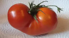 DSCF2465.webp