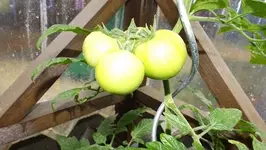 DSCF2583.webp