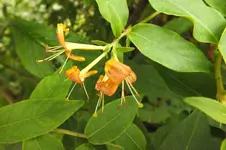 DSCF3052.webp