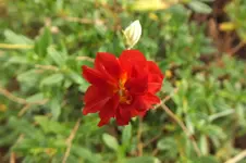 DSCF3061.webp