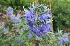 DSCF3067 (2).webp