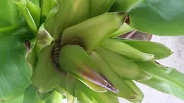 20150825_140935.webp