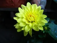 032.webp