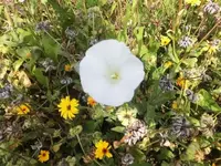Bilda040.webp