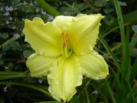 DSCN9841.jpg