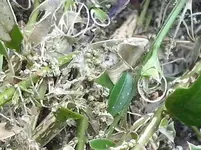 CAM00919.jpg