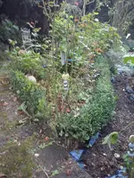 CAM00925.webp