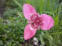 CAM00906.webp
