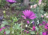 CAM00911.webp