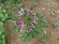 P1090802.webp