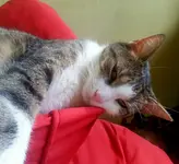 20150904_115402.webp