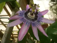 P9040260.webp