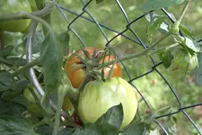 IMG_8336.webp