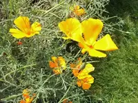 Bilda046.webp