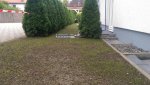 IMAG0480.jpg