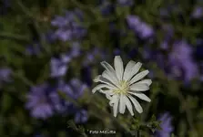 IMG_1268.webp