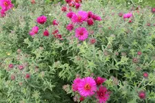 IMG_8328.webp