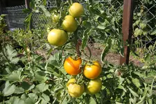 IMG_8301.webp