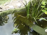 BILD4608.JPG