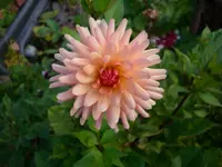 DSCI3785.webp