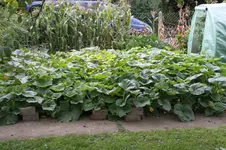 IMG_8398.webp