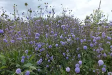 DSCF3149.webp