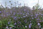 DSCF3149.jpg