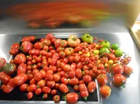DSCN3202.webp
